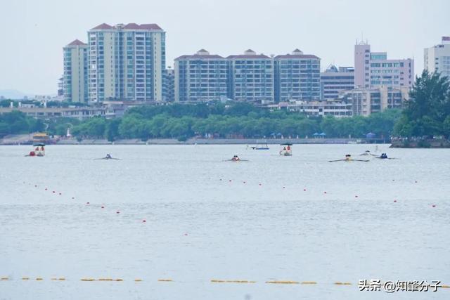 三项第一!东莞赛艇队创省赛最佳战绩!(图1)