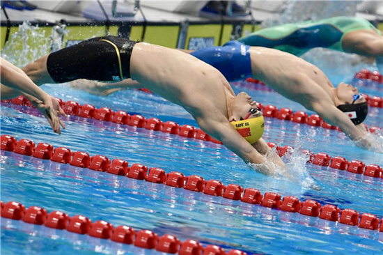 福建省游泳跳水运动管理中心签署7014800元跳水跳板采购合同助力未来竞技发展(图1) 福建省游泳跳水运动管理中心签署7014800元跳水跳板采购合同助力未来竞技发展