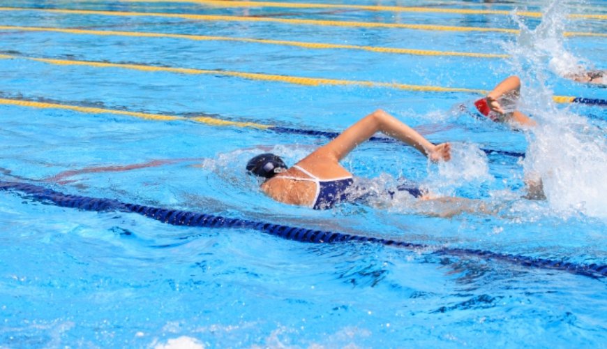 河北省游泳文化交流活动：从泳池到教育的深度融合与创新