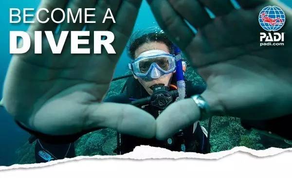 机械键盘最新资讯-快科技--科技改变未来