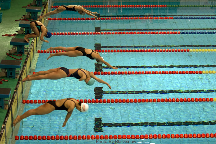 体育之光耀湾区 同心圆梦谱华章——第十五届全国运动会精彩圆满举办