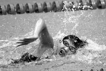 说说跟莫言在一起的往事 金弢(图1) 说说跟莫言在一起的往事 金弢