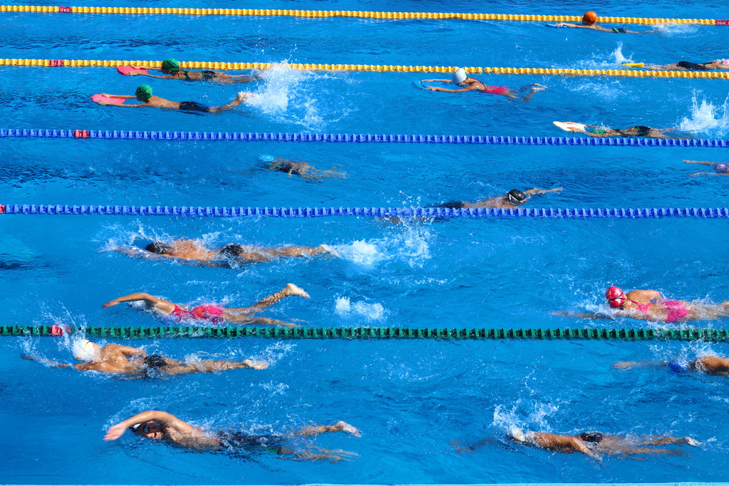 2026游泳春锦赛观赛指南|史上最强阵容家门口的迷你世锦赛来了!(图1) 2026游泳春锦赛观赛指南|史上最强阵容家门口的迷你世锦赛来了!