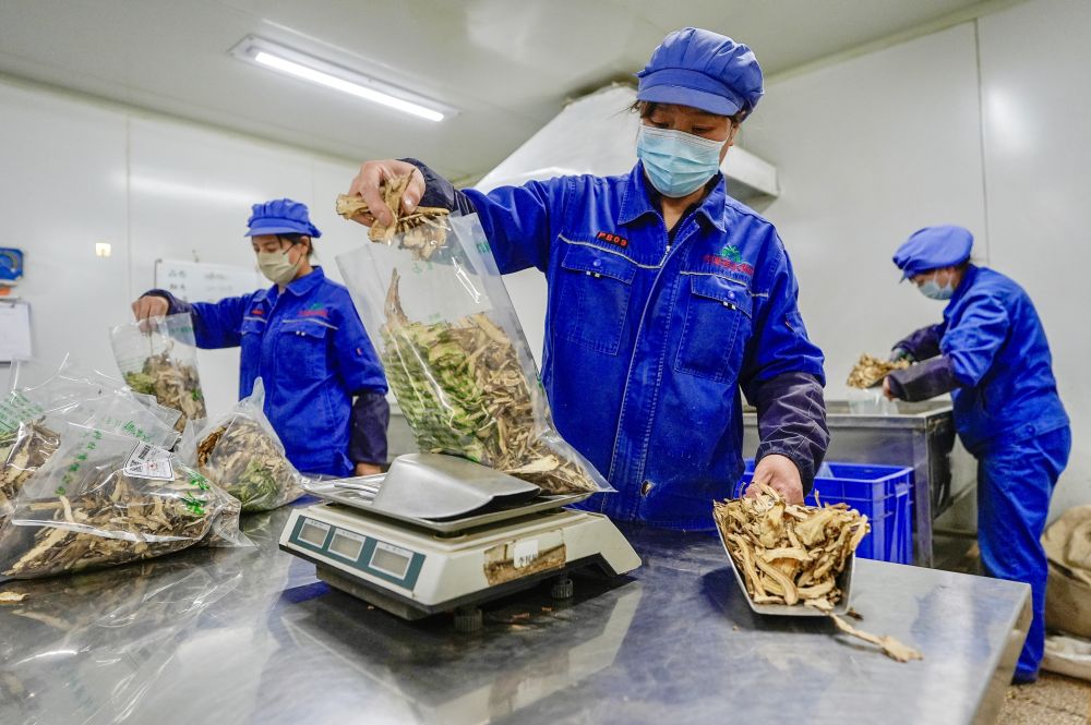 习近平总书记同人大代表、政协委员共商国是纪实(图10)