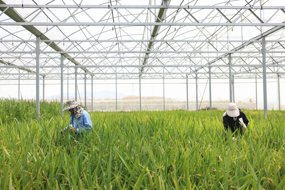 习近平总书记同人大代表、政协委员共商国是纪实(图7)