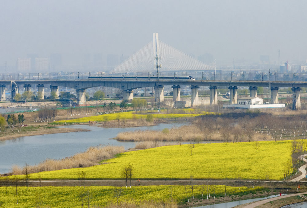 习近平总书记同人大代表、政协委员共商国是纪实(图11)