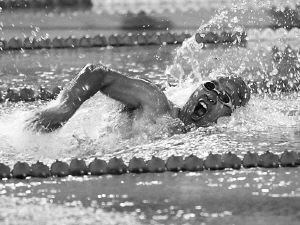 速度之星手机版238版本