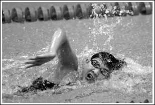 幻想全明星手机版正版免费