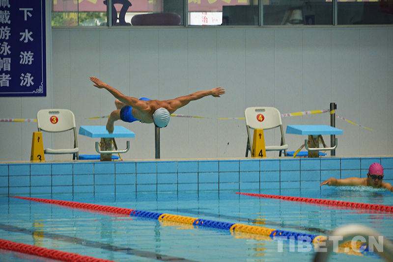 科普 游泳的起源