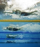 技·忆 篮球为啥长这样?原来是1929年的一件专利决定的(图1) 技·忆 篮球为啥长这样?原来是1929年的一件专利决定的